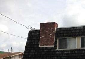 308 N. Stepney St.